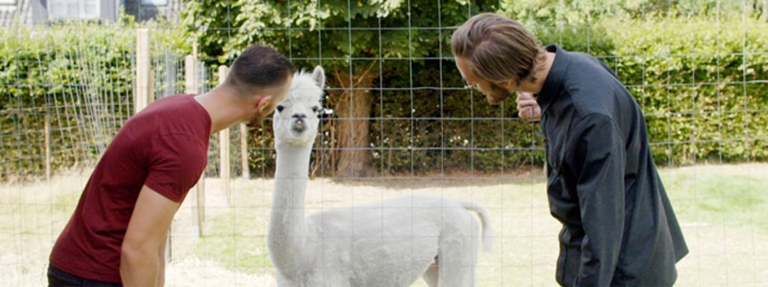 Kænguru­myste­ri­et