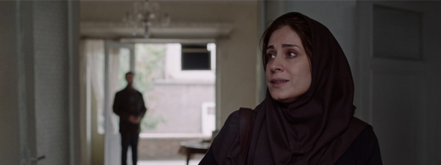 Balladen om den hvide ko