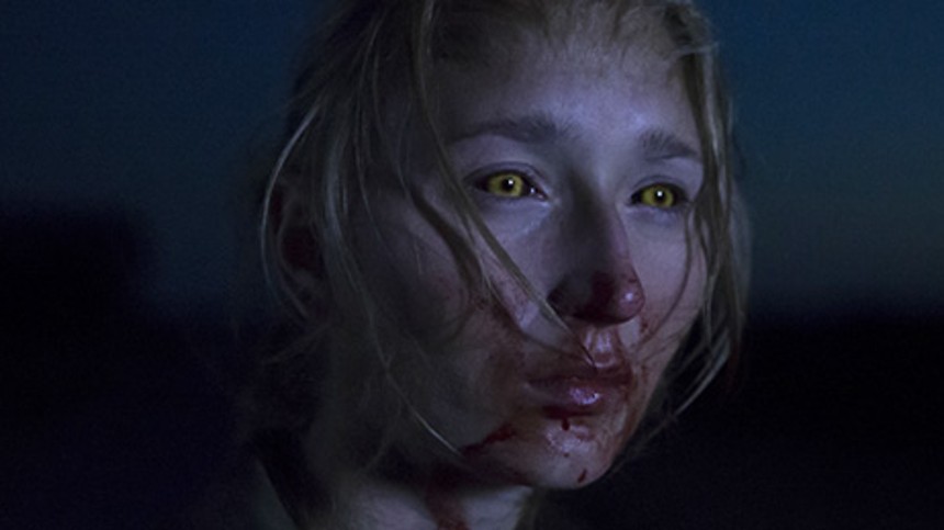 Når dyrene drømmer