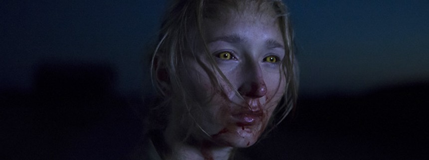 Når dyrene drømmer