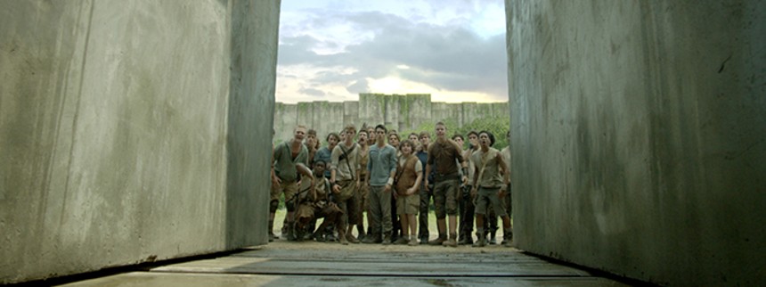 The Maze Runner
