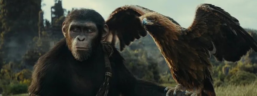 Kingdom of the Planet of the Apes