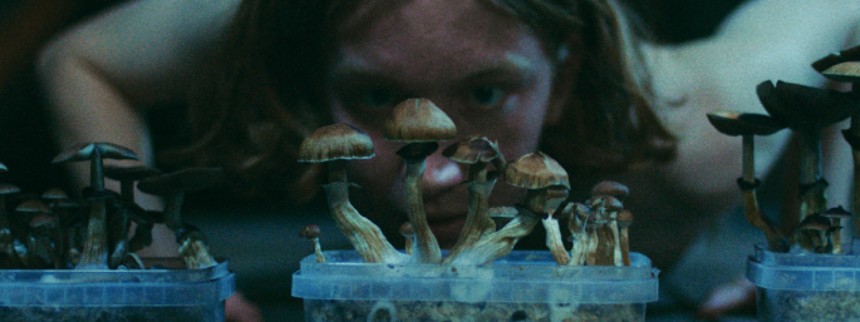 Det store glitch/Paradisets børn