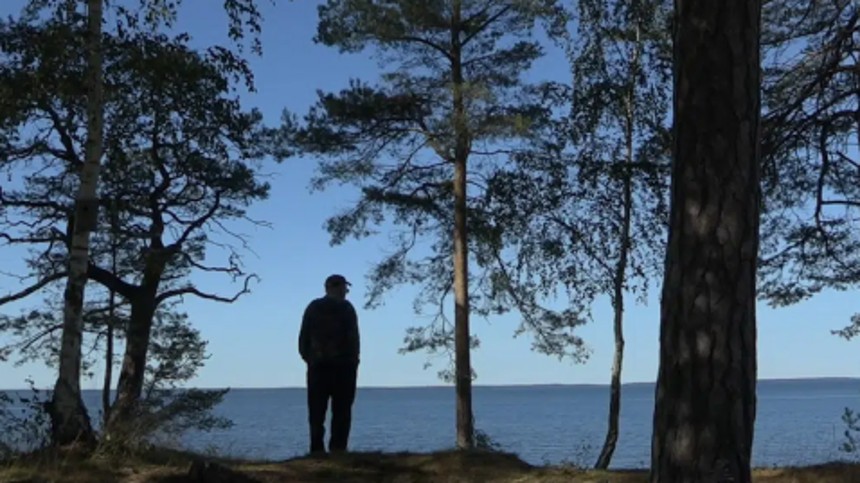 Brevfilmen