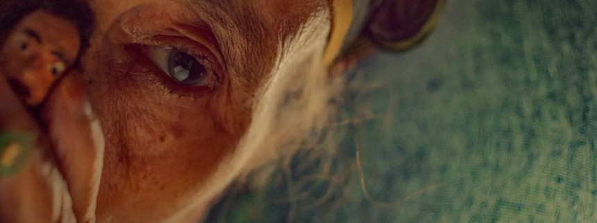 The Mother of All Lies