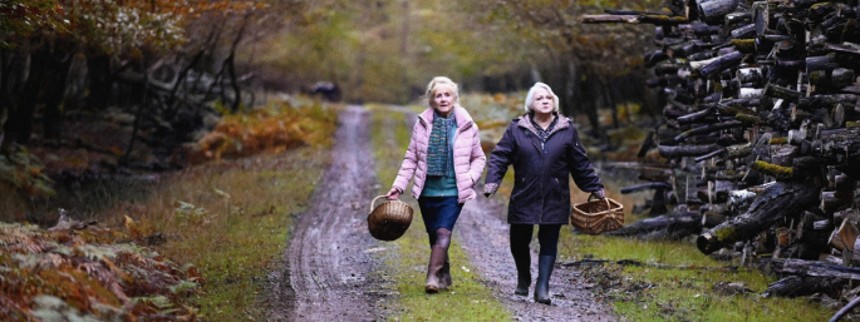 Efterår i Bourgogne