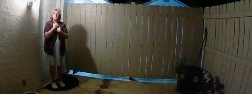 The Perfect Neighbor