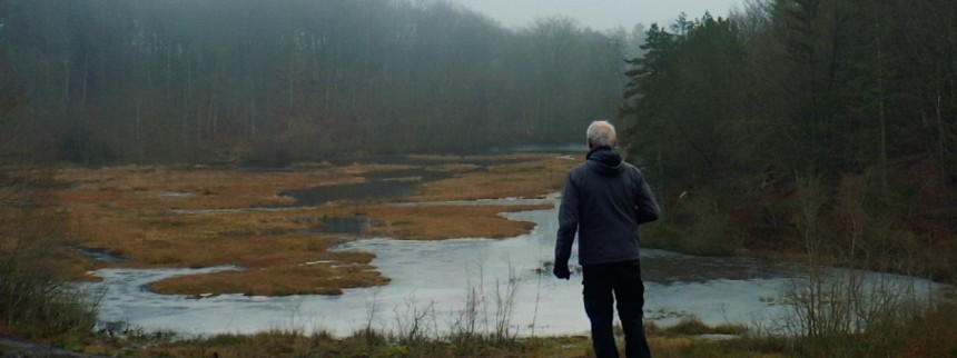 Organiseret vildskab