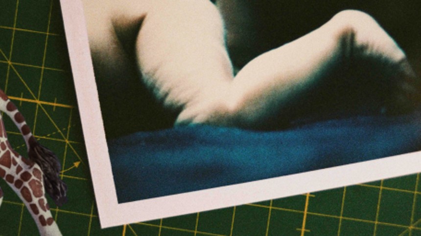 Livet og andre problemer