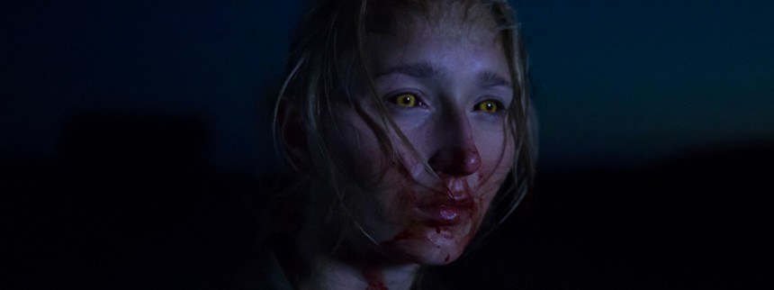 Når dyrene drømmer